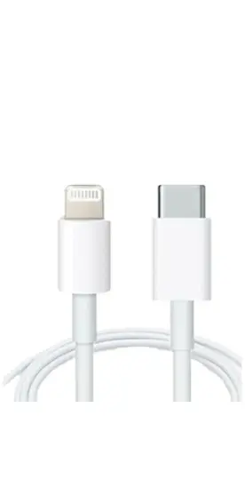 Cable P10 (TIPO C -IP) 